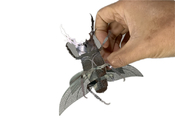 O modelo Adult Metal Puzzle do inseto de Diy 3D mancha o material de aço